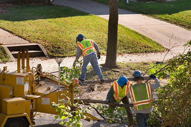 Best Lawn Irrigation Installation and Maintenance  in Union, MO